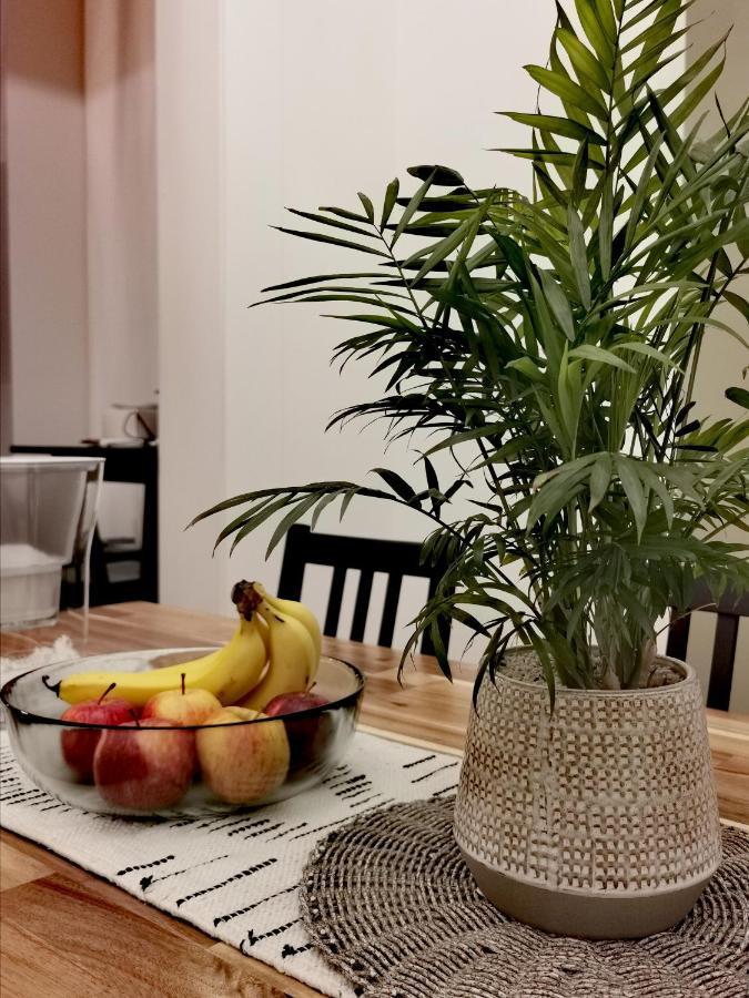 Refresh109 On Cameron Launceston Ngoại thất bức ảnh